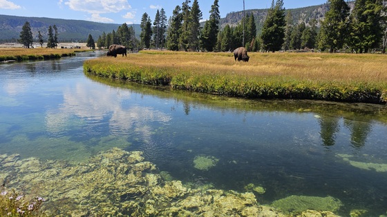 Yellowstone National Park
