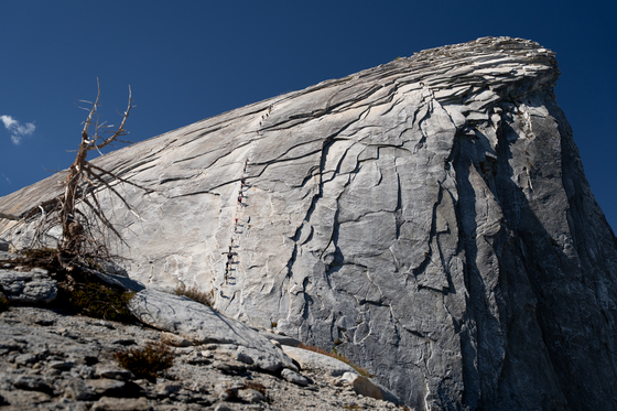 Yosemite National Park