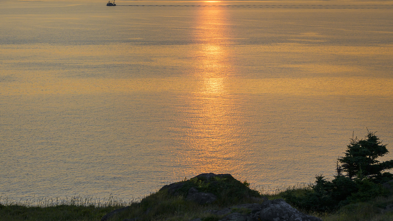 Tranquil Moment
