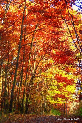 Bald Mountain Recreation Area