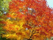 Bald Mountain Recreation Area