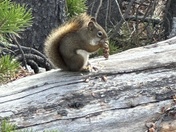 Yellowstone National Park 