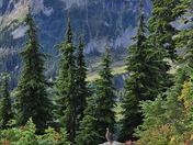 Mt. Baker-Snoqualmie National Forest