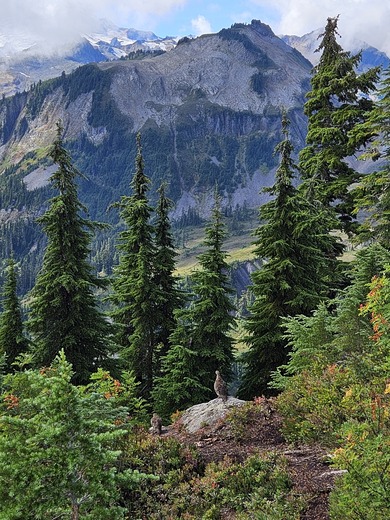 Mt. Baker-Snoqualmie National Forest