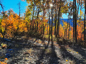 Fall colours mountain top