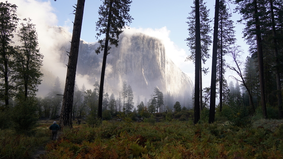 Yosemite National Park