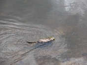 Rocky Mountain National Park