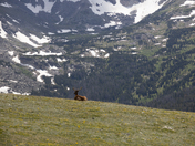 Rocky Mountain National Park