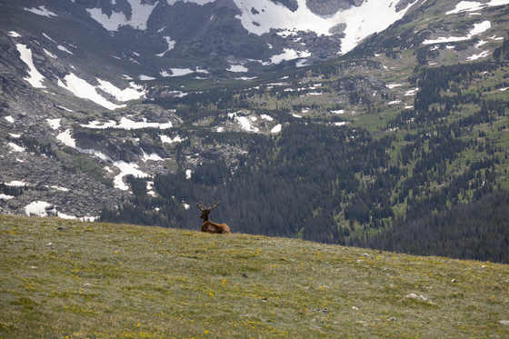Rocky Mountain National Park