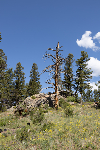 Rocky Mountain National Park