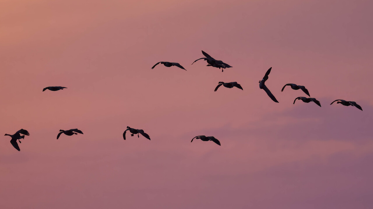 Ballet in the Sky