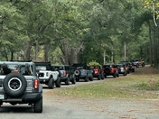 Conecuh National Forest