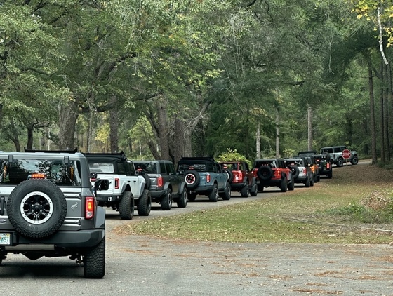 Conecuh National Forest