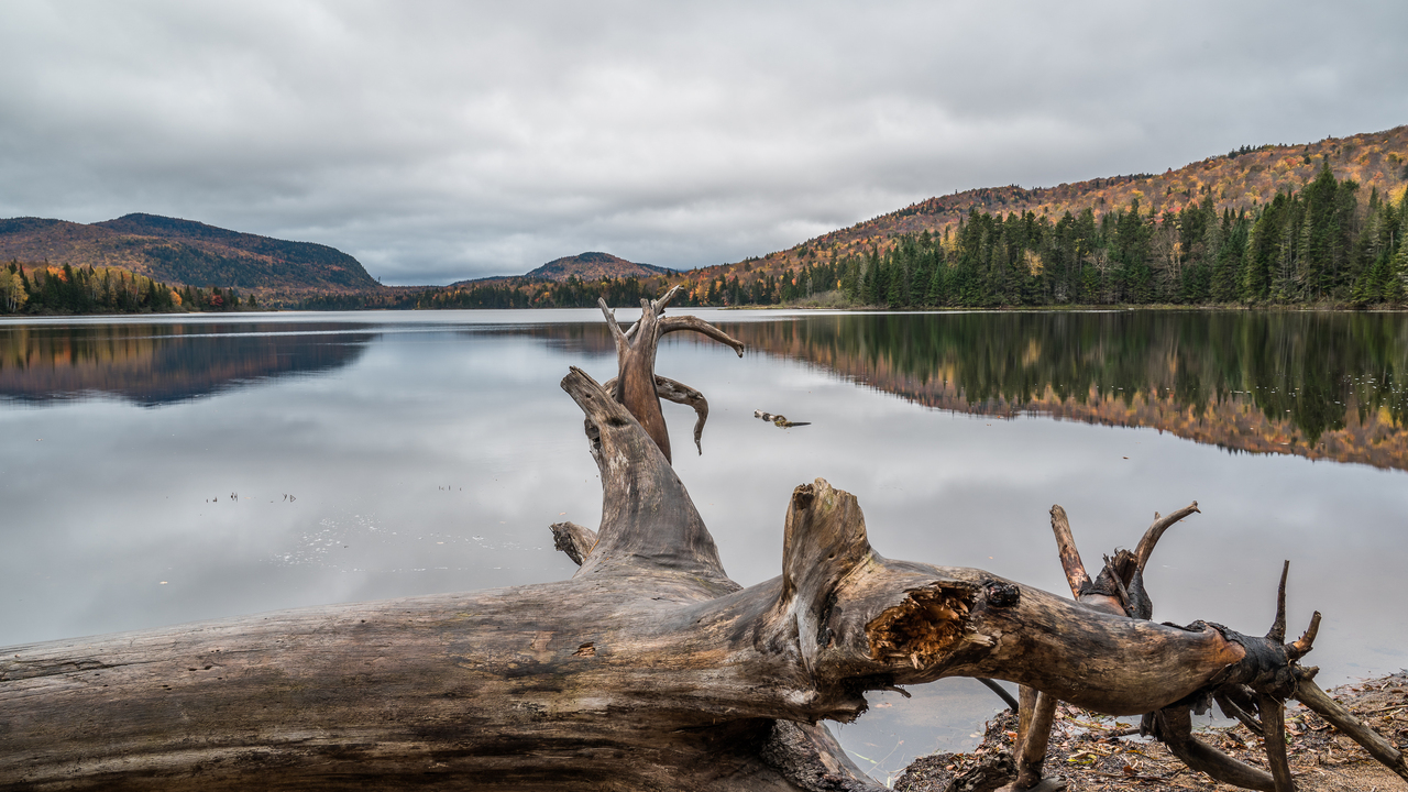 Autumn scenes from Tremblant 