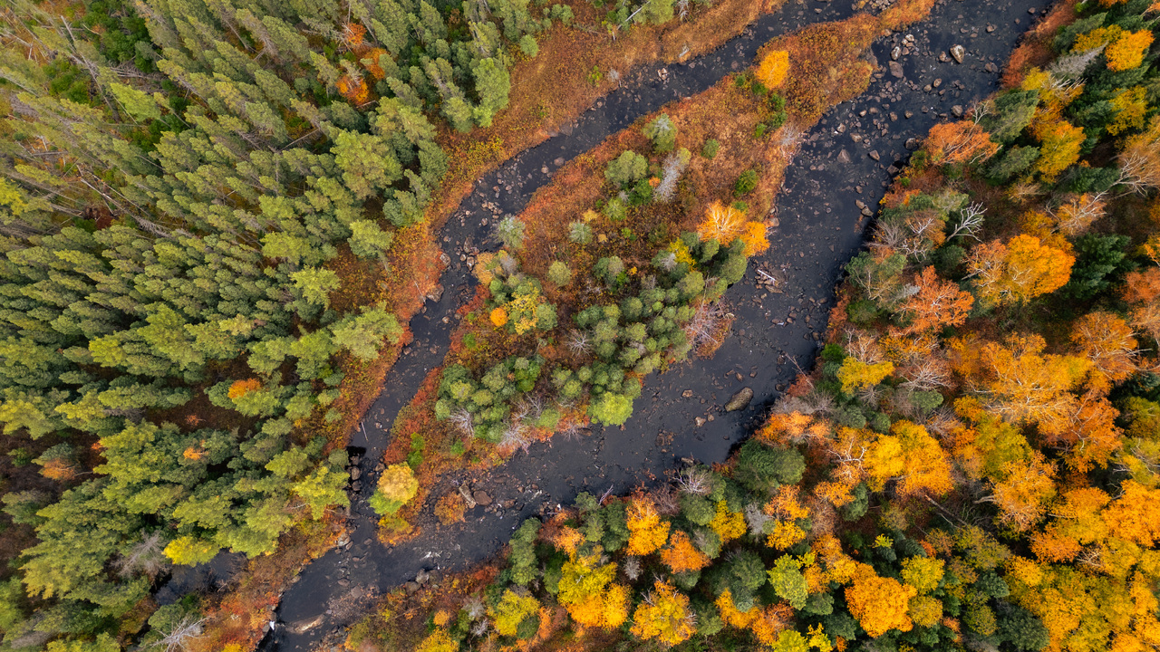 Fall on the River