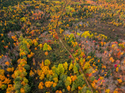 Follow your own path