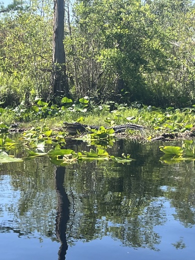 Okefenokee National Wildlife Refuge 