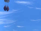 Dream catcher in the sky