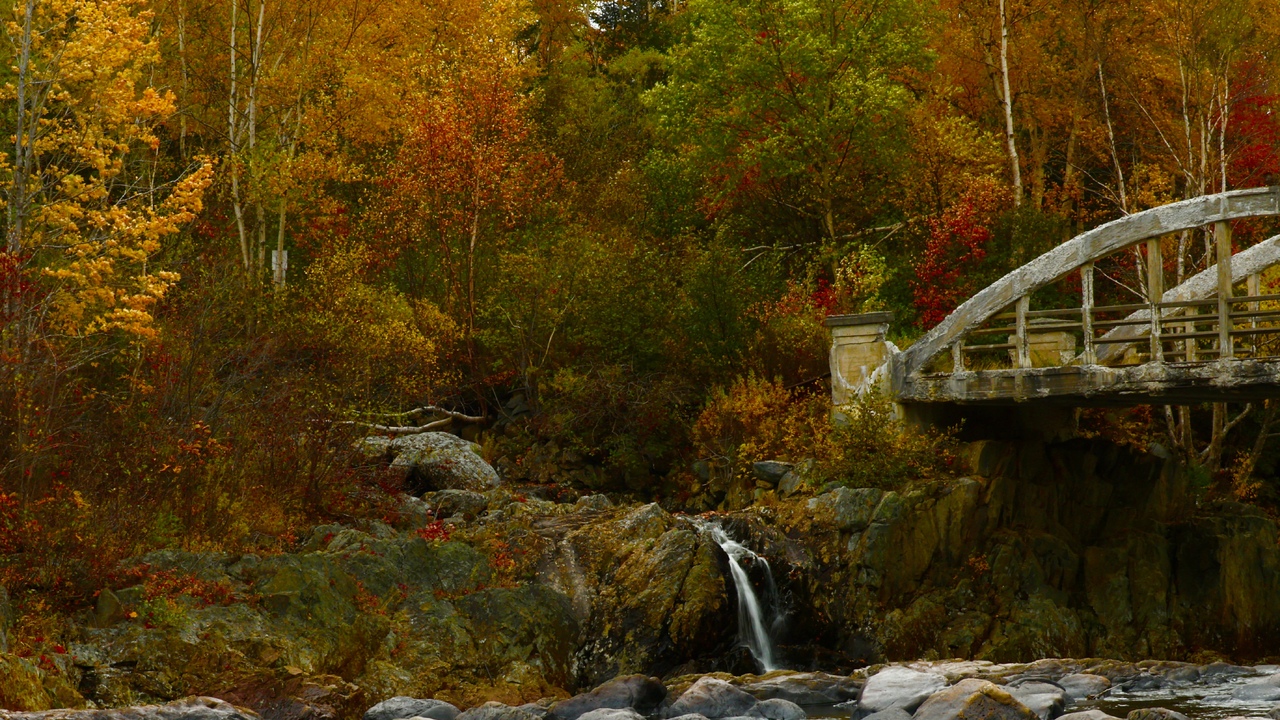Fall splendour 