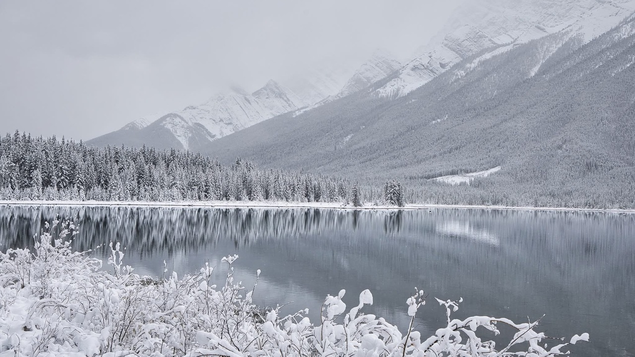 Fresh Morning Snow