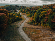 Pathways Through Peak Foliage