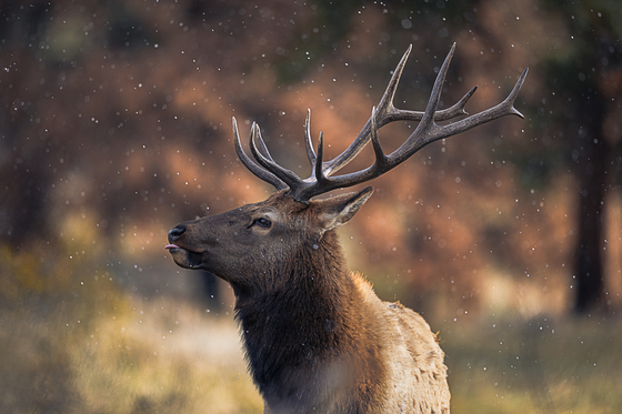 Rocky Mountain National Park