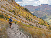 Uinta-Wasatch-Cache National Forest