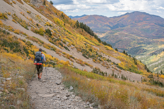 Uinta-Wasatch-Cache National Forest