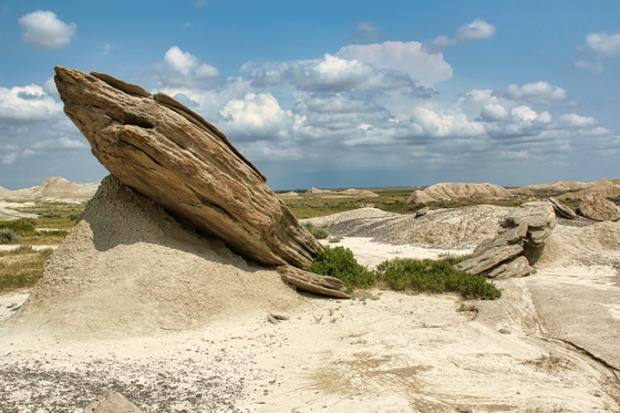 Oglala National Grassland