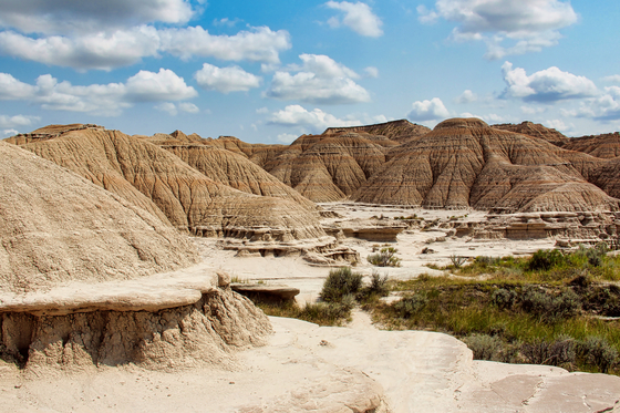 Oglala National Grassland