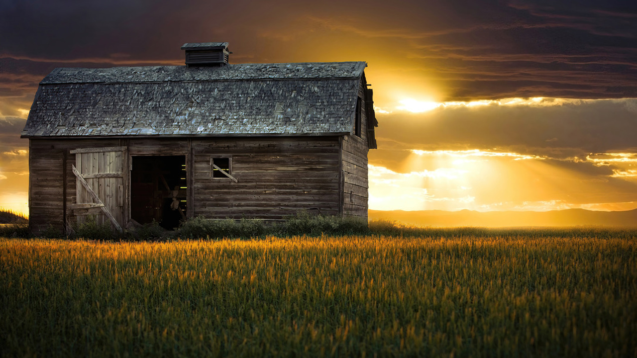Enduring Light