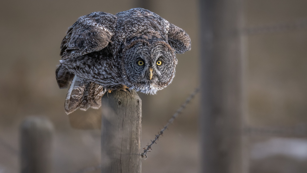 On the Edge of Patience