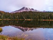 Mt. Rainier National Park