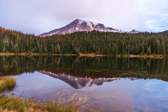 Mt. Rainier National Park