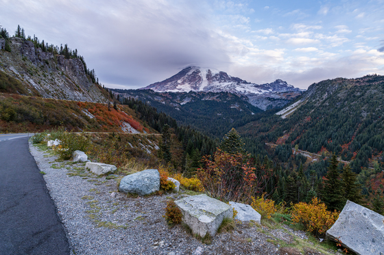 Mt. Rainier National Park
