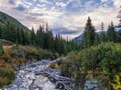 Mt. Rainier National Park
