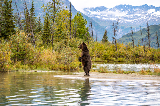 Lake Clark National Park