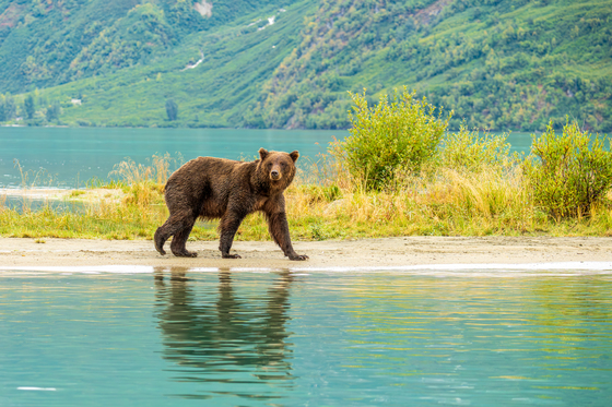 Lake Clark National Park