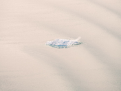 Glacier Bay National Park
