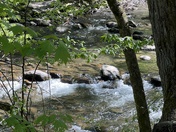 Great Smoky Mountains National Park