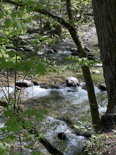 Great Smoky Mountains National Park