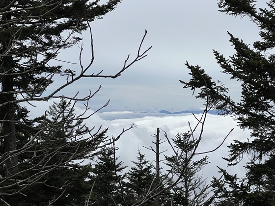 Great Smoky Mountains National Park