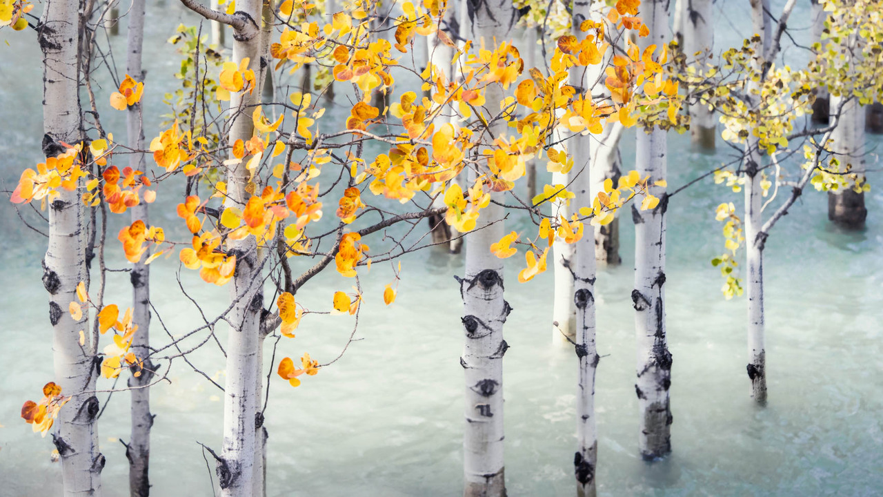 Autumn Art