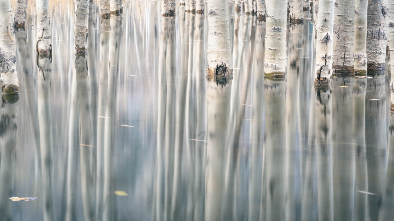 Serenity
