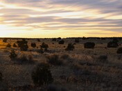 Apache-Sitgreaves National Forests