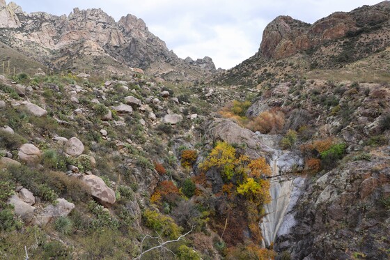 Organ Mountains-Desert Peaks National Monument
