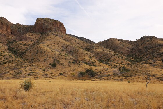 Organ Mountains-Desert Peaks National Monument 