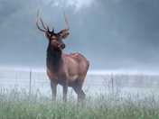 Buffalo National River
