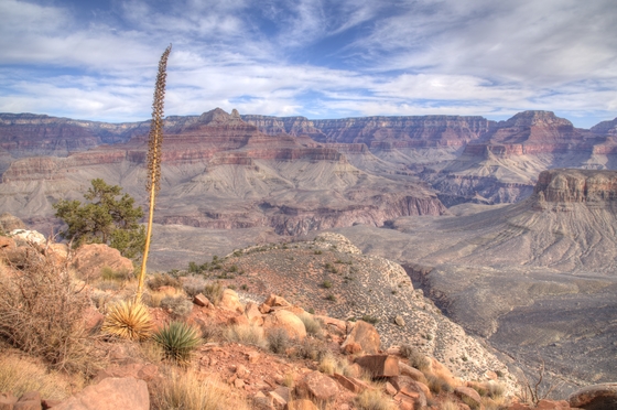 Grand Canyon National Park