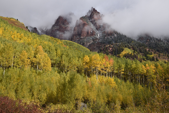 White River National Forest